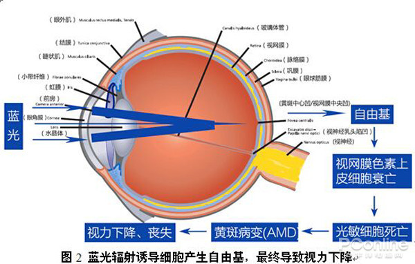 为什么我的眼里常含泪水？原来都是被LED灯给闪的